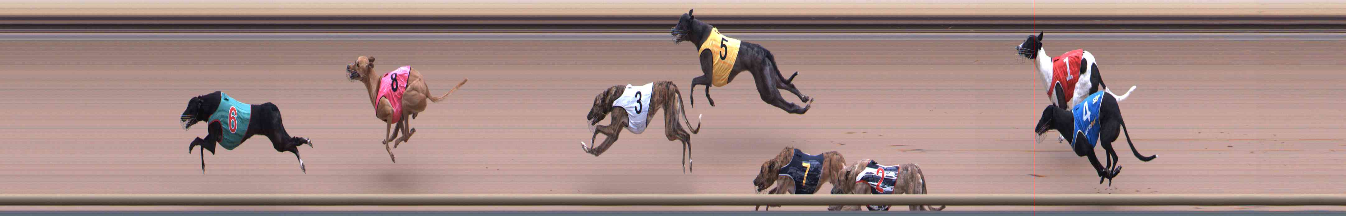 Race result finish photo